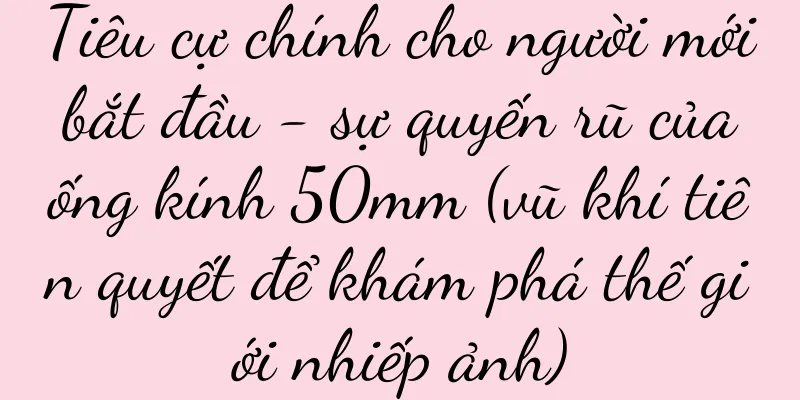 Tiêu cự chính cho người mới bắt đầu - sự quyến rũ của ống kính 50mm (vũ khí tiên quyết để khám phá thế giới nhiếp ảnh)
