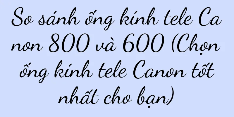 So sánh ống kính tele Canon 800 và 600 (Chọn ống kính tele Canon tốt nhất cho bạn)