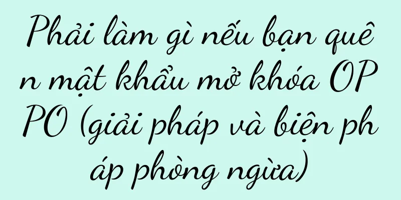 Phải làm gì nếu bạn quên mật khẩu mở khóa OPPO (giải pháp và biện pháp phòng ngừa)