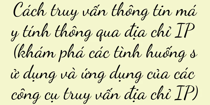 Cách truy vấn thông tin máy tính thông qua địa chỉ IP (khám phá các tình huống sử dụng và ứng dụng của các công cụ truy vấn địa chỉ IP)