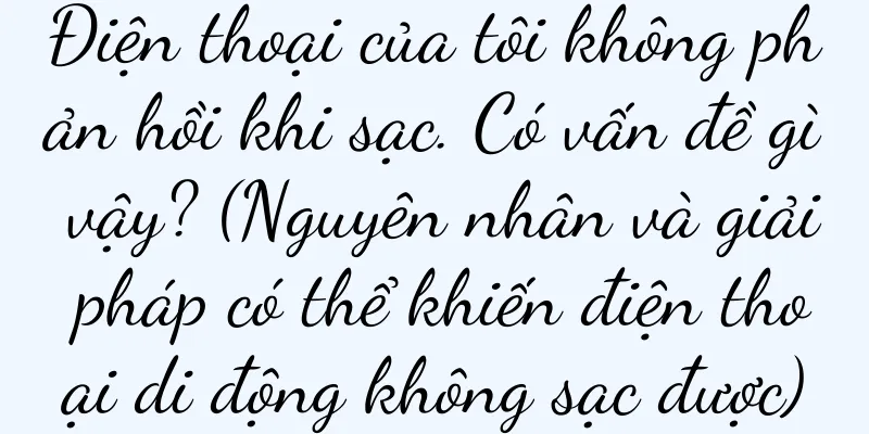 Điện thoại của tôi không phản hồi khi sạc. Có vấn đề gì vậy? (Nguyên nhân và giải pháp có thể khiến điện thoại di động không sạc được)