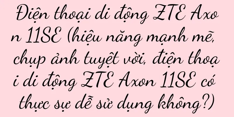 Điện thoại di động ZTE Axon 11SE (hiệu năng mạnh mẽ, chụp ảnh tuyệt vời, điện thoại di động ZTE Axon 11SE có thực sự dễ sử dụng không?)