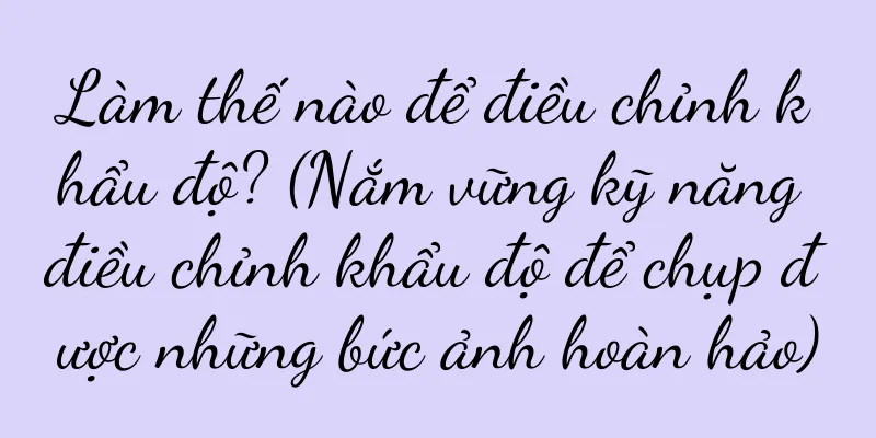 Làm thế nào để điều chỉnh khẩu độ? (Nắm vững kỹ năng điều chỉnh khẩu độ để chụp được những bức ảnh hoàn hảo)