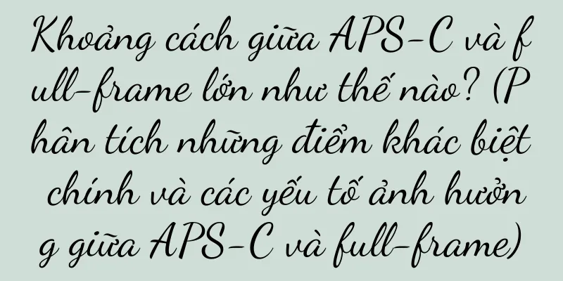 Khoảng cách giữa APS-C và full-frame lớn như thế nào? (Phân tích những điểm khác biệt chính và các yếu tố ảnh hưởng giữa APS-C và full-frame)