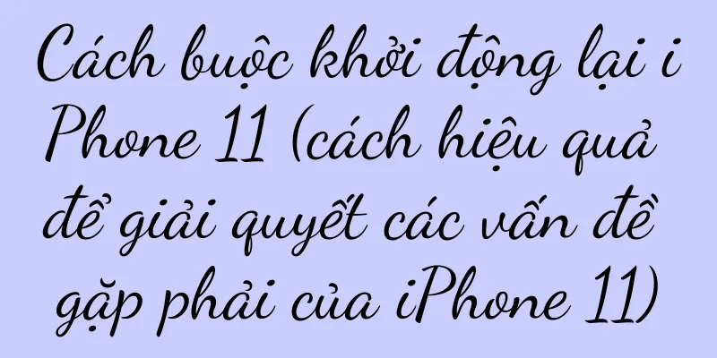 Cách buộc khởi động lại iPhone 11 (cách hiệu quả để giải quyết các vấn đề gặp phải của iPhone 11)