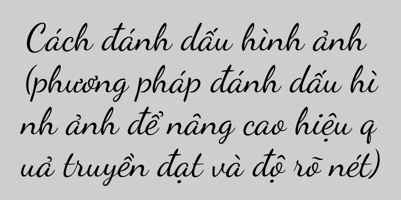 Cách đánh dấu hình ảnh (phương pháp đánh dấu hình ảnh để nâng cao hiệu quả truyền đạt và độ rõ nét)