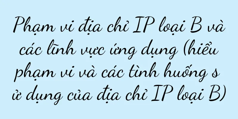 Phạm vi địa chỉ IP loại B và các lĩnh vực ứng dụng (hiểu phạm vi và các tình huống sử dụng của địa chỉ IP loại B)