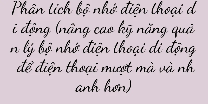 Phân tích bộ nhớ điện thoại di động (nâng cao kỹ năng quản lý bộ nhớ điện thoại di động để điện thoại mượt mà và nhanh hơn)