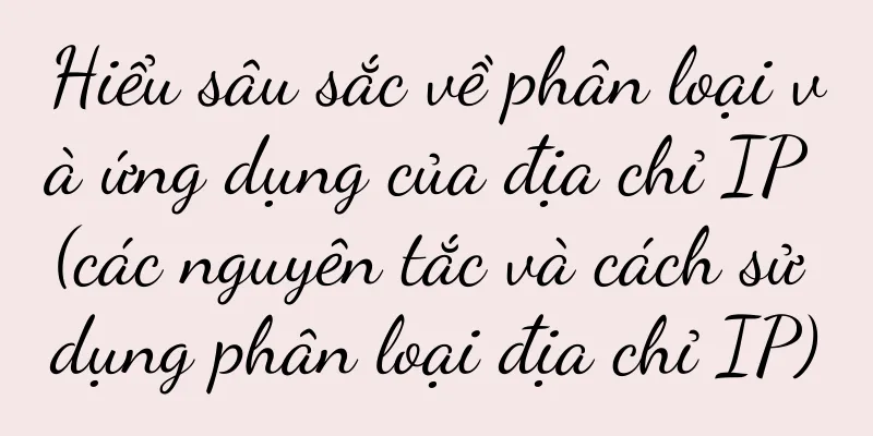 Hiểu sâu sắc về phân loại và ứng dụng của địa chỉ IP (các nguyên tắc và cách sử dụng phân loại địa chỉ IP)
