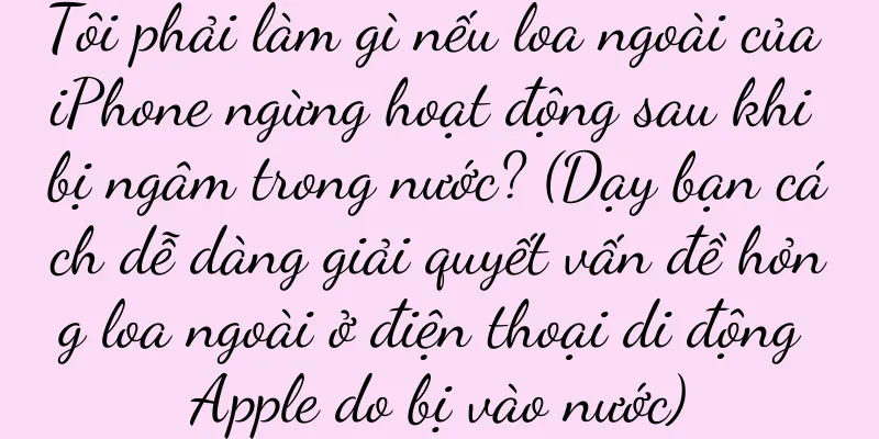 Tôi phải làm gì nếu loa ngoài của iPhone ngừng hoạt động sau khi bị ngâm trong nước? (Dạy bạn cách dễ dàng giải quyết vấn đề hỏng loa ngoài ở điện thoại di động Apple do bị vào nước)