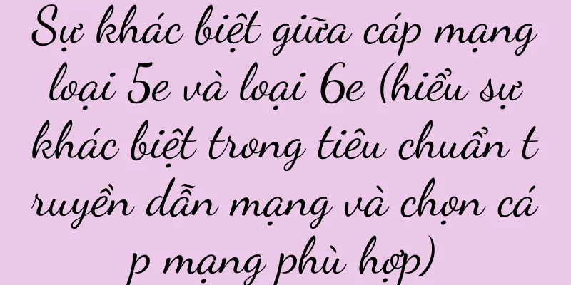 Sự khác biệt giữa cáp mạng loại 5e và loại 6e (hiểu sự khác biệt trong tiêu chuẩn truyền dẫn mạng và chọn cáp mạng phù hợp)