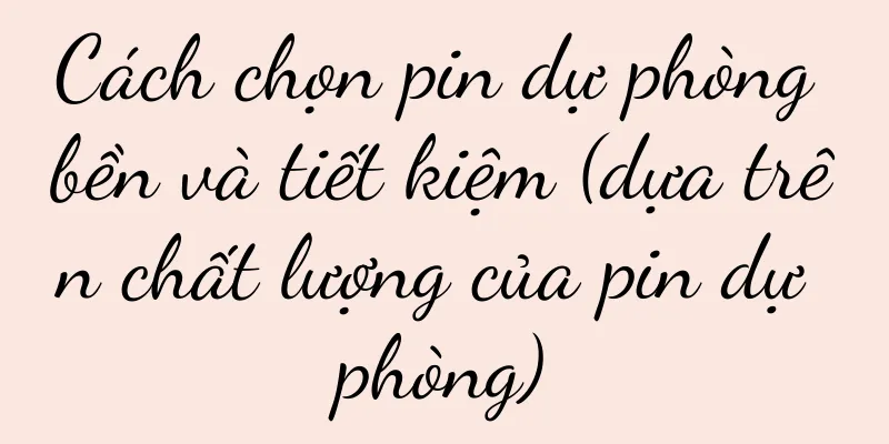 Cách chọn pin dự phòng bền và tiết kiệm (dựa trên chất lượng của pin dự phòng)
