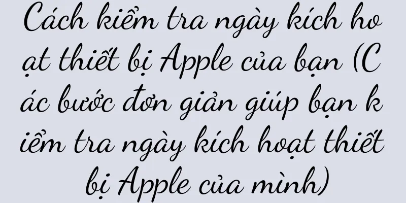 Cách kiểm tra ngày kích hoạt thiết bị Apple của bạn (Các bước đơn giản giúp bạn kiểm tra ngày kích hoạt thiết bị Apple của mình)