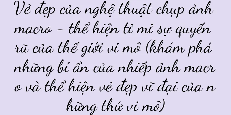 Vẻ đẹp của nghệ thuật chụp ảnh macro - thể hiện tỉ mỉ sự quyến rũ của thế giới vi mô (khám phá những bí ẩn của nhiếp ảnh macro và thể hiện vẻ đẹp vĩ đại của những thứ vi mô)