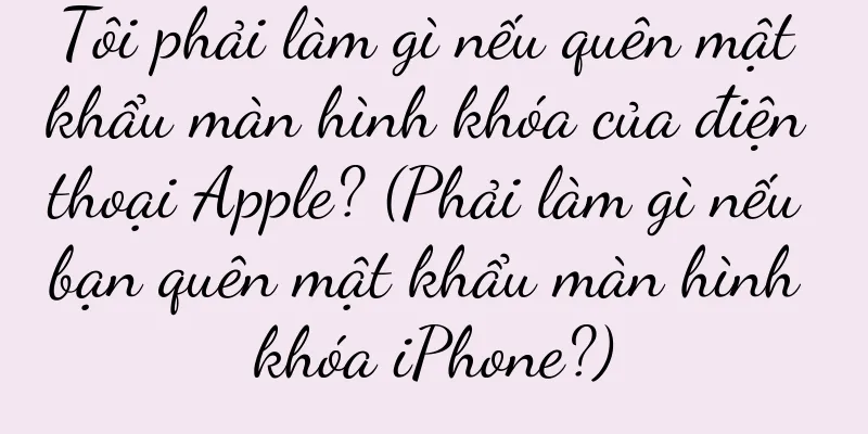 Tôi phải làm gì nếu quên mật khẩu màn hình khóa của điện thoại Apple? (Phải làm gì nếu bạn quên mật khẩu màn hình khóa iPhone?)