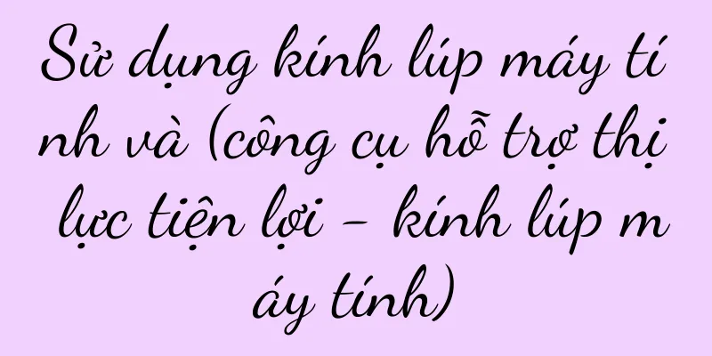 Sử dụng kính lúp máy tính và (công cụ hỗ trợ thị lực tiện lợi - kính lúp máy tính)