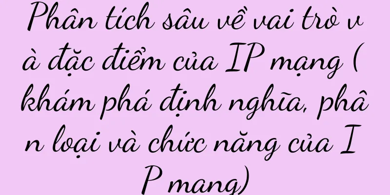 Phân tích sâu về vai trò và đặc điểm của IP mạng (khám phá định nghĩa, phân loại và chức năng của IP mạng)