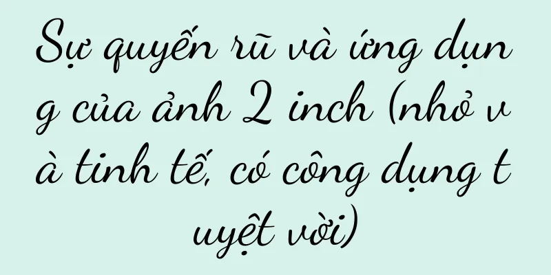 Sự quyến rũ và ứng dụng của ảnh 2 inch (nhỏ và tinh tế, có công dụng tuyệt vời)