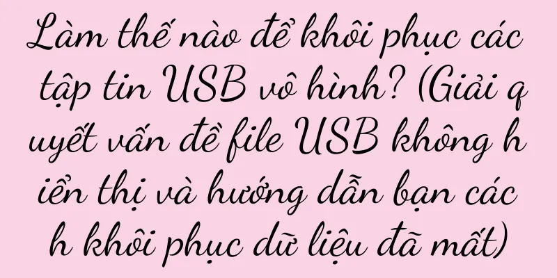 Làm thế nào để khôi phục các tập tin USB vô hình? (Giải quyết vấn đề file USB không hiển thị và hướng dẫn bạn cách khôi phục dữ liệu đã mất)