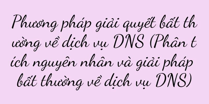 Phương pháp giải quyết bất thường về dịch vụ DNS (Phân tích nguyên nhân và giải pháp bất thường về dịch vụ DNS)