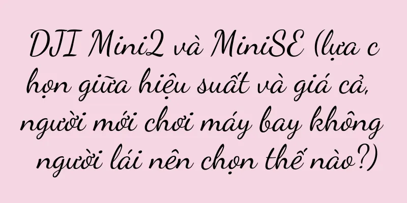 DJI Mini2 và MiniSE (lựa chọn giữa hiệu suất và giá cả, người mới chơi máy bay không người lái nên chọn thế nào?)