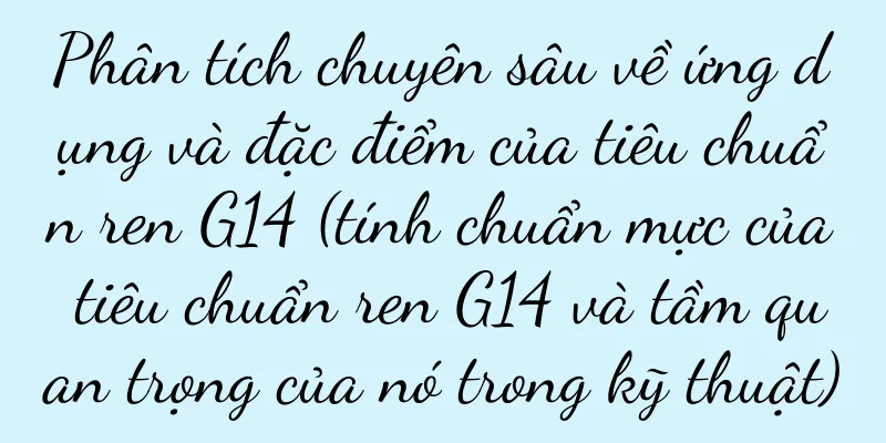 Phân tích chuyên sâu về ứng dụng và đặc điểm của tiêu chuẩn ren G14 (tính chuẩn mực của tiêu chuẩn ren G14 và tầm quan trọng của nó trong kỹ thuật)