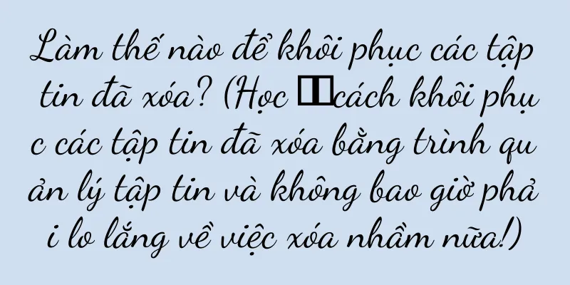 Làm thế nào để khôi phục các tập tin đã xóa? (Học ​​cách khôi phục các tập tin đã xóa bằng trình quản lý tập tin và không bao giờ phải lo lắng về việc xóa nhầm nữa!)