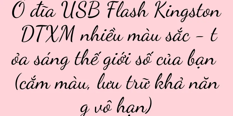 Ổ đĩa USB Flash Kingston DTXM nhiều màu sắc - tỏa sáng thế giới số của bạn (cắm màu, lưu trữ khả năng vô hạn)