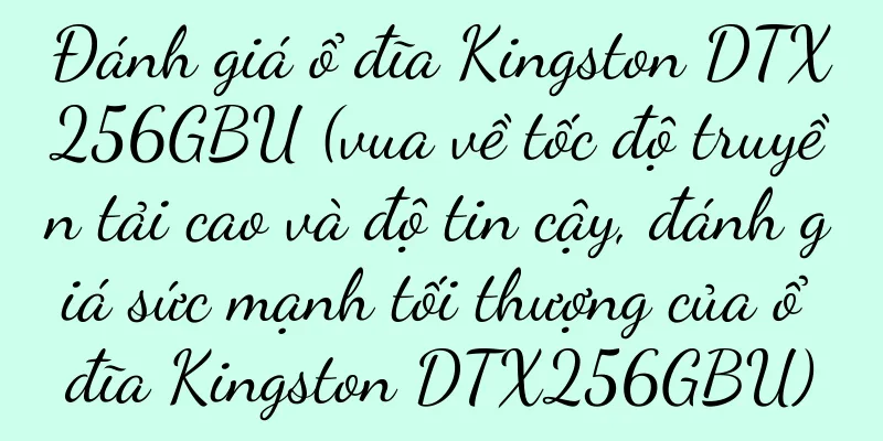 Đánh giá ổ đĩa Kingston DTX256GBU (vua về tốc độ truyền tải cao và độ tin cậy, đánh giá sức mạnh tối thượng của ổ đĩa Kingston DTX256GBU)