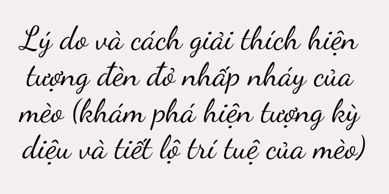 Lý do và cách giải thích hiện tượng đèn đỏ nhấp nháy của mèo (khám phá hiện tượng kỳ diệu và tiết lộ trí tuệ của mèo)