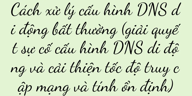Cách xử lý cấu hình DNS di động bất thường (giải quyết sự cố cấu hình DNS di động và cải thiện tốc độ truy cập mạng và tính ổn định)