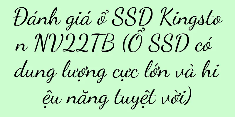 Đánh giá ổ SSD Kingston NV22TB (Ổ SSD có dung lượng cực lớn và hiệu năng tuyệt vời)