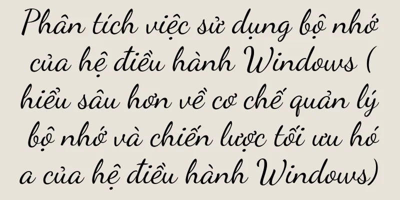 Phân tích việc sử dụng bộ nhớ của hệ điều hành Windows (hiểu sâu hơn về cơ chế quản lý bộ nhớ và chiến lược tối ưu hóa của hệ điều hành Windows)