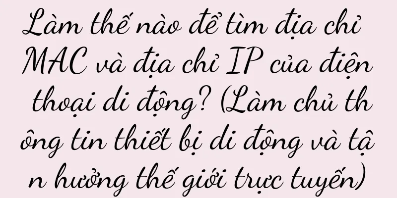 Làm thế nào để tìm địa chỉ MAC và địa chỉ IP của điện thoại di động? (Làm chủ thông tin thiết bị di động và tận hưởng thế giới trực tuyến)