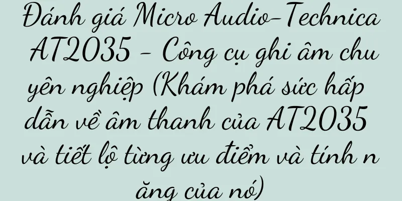 Đánh giá Micro Audio-Technica AT2035 - Công cụ ghi âm chuyên nghiệp (Khám phá sức hấp dẫn về âm thanh của AT2035 và tiết lộ từng ưu điểm và tính năng của nó)