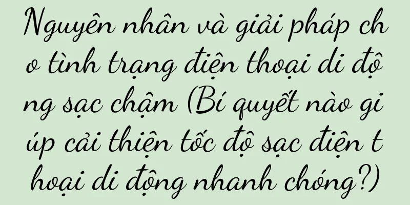 Nguyên nhân và giải pháp cho tình trạng điện thoại di động sạc chậm (Bí quyết nào giúp cải thiện tốc độ sạc điện thoại di động nhanh chóng?)