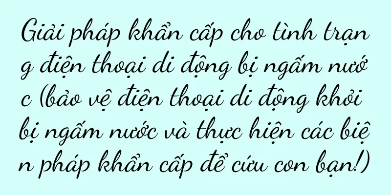 Giải pháp khẩn cấp cho tình trạng điện thoại di động bị ngấm nước (bảo vệ điện thoại di động khỏi bị ngấm nước và thực hiện các biện pháp khẩn cấp để cứu con bạn!)