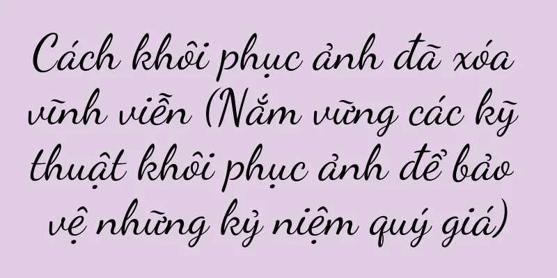 Cách khôi phục ảnh đã xóa vĩnh viễn (Nắm vững các kỹ thuật khôi phục ảnh để bảo vệ những kỷ niệm quý giá)