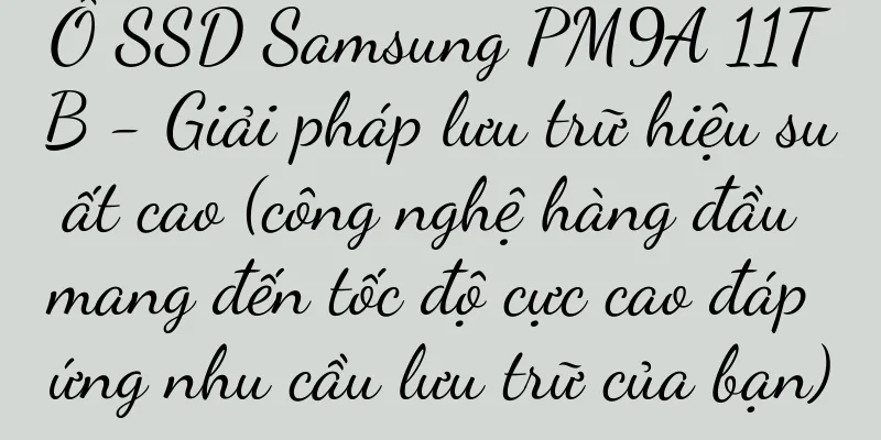 Ổ SSD Samsung PM9A 11TB - Giải pháp lưu trữ hiệu suất cao (công nghệ hàng đầu mang đến tốc độ cực cao đáp ứng nhu cầu lưu trữ của bạn)