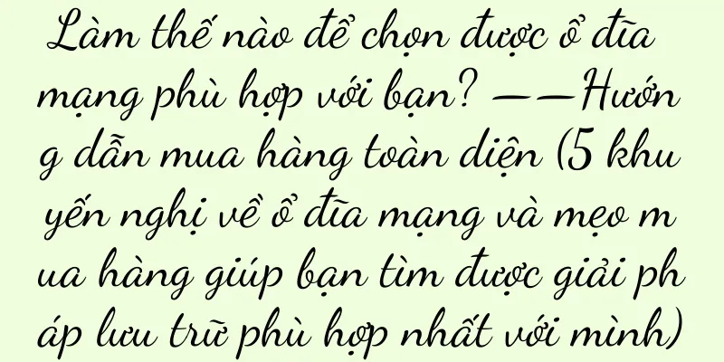 Làm thế nào để chọn được ổ đĩa mạng phù hợp với bạn? ——Hướng dẫn mua hàng toàn diện (5 khuyến nghị về ổ đĩa mạng và mẹo mua hàng giúp bạn tìm được giải pháp lưu trữ phù hợp nhất với mình)
