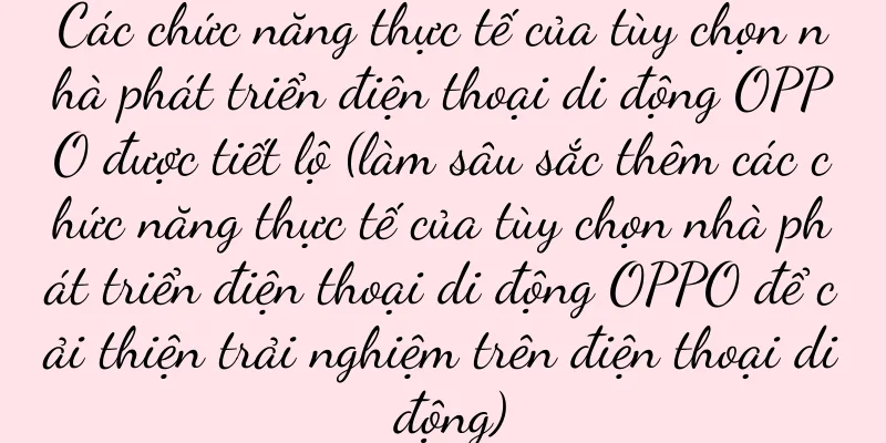 Các chức năng thực tế của tùy chọn nhà phát triển điện thoại di động OPPO được tiết lộ (làm sâu sắc thêm các chức năng thực tế của tùy chọn nhà phát triển điện thoại di động OPPO để cải thiện trải nghiệm trên điện thoại di động)