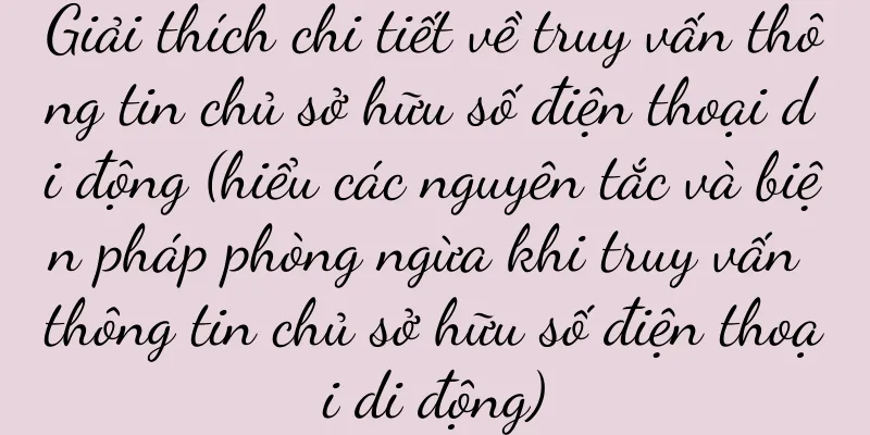 Giải thích chi tiết về truy vấn thông tin chủ sở hữu số điện thoại di động (hiểu các nguyên tắc và biện pháp phòng ngừa khi truy vấn thông tin chủ sở hữu số điện thoại di động)