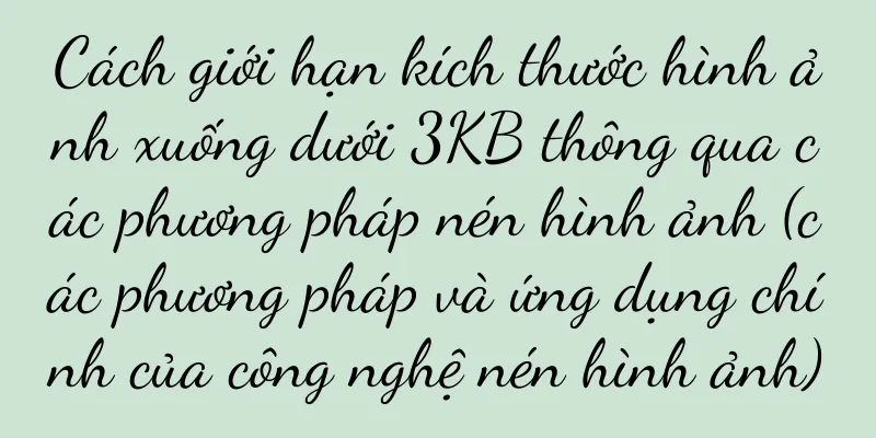 Cách giới hạn kích thước hình ảnh xuống dưới 3KB thông qua các phương pháp nén hình ảnh (các phương pháp và ứng dụng chính của công nghệ nén hình ảnh)