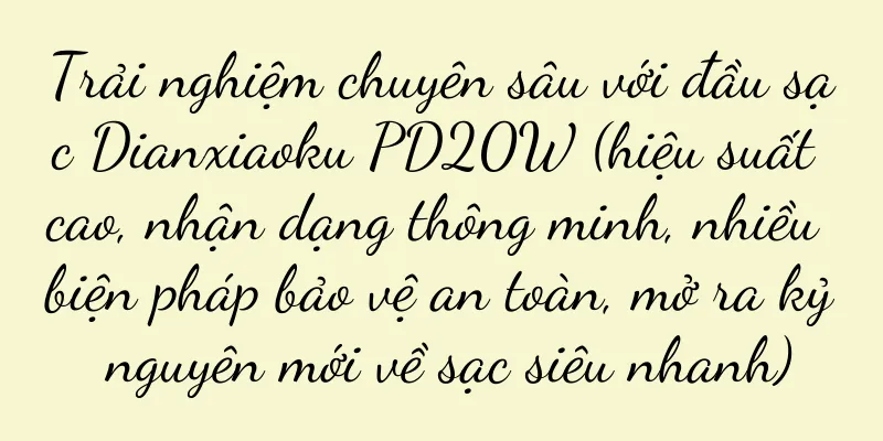 Trải nghiệm chuyên sâu với đầu sạc Dianxiaoku PD20W (hiệu suất cao, nhận dạng thông minh, nhiều biện pháp bảo vệ an toàn, mở ra kỷ nguyên mới về sạc siêu nhanh)