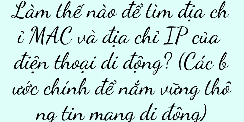 Làm thế nào để tìm địa chỉ MAC và địa chỉ IP của điện thoại di động? (Các bước chính để nắm vững thông tin mạng di động)