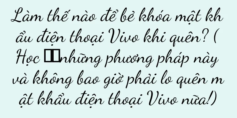 Làm thế nào để bẻ khóa mật khẩu điện thoại Vivo khi quên? (Học ​​những phương pháp này và không bao giờ phải lo quên mật khẩu điện thoại Vivo nữa!)