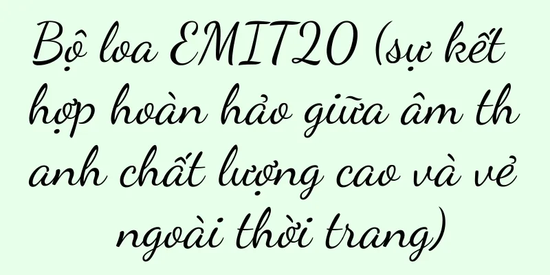 Bộ loa EMIT20 (sự kết hợp hoàn hảo giữa âm thanh chất lượng cao và vẻ ngoài thời trang)