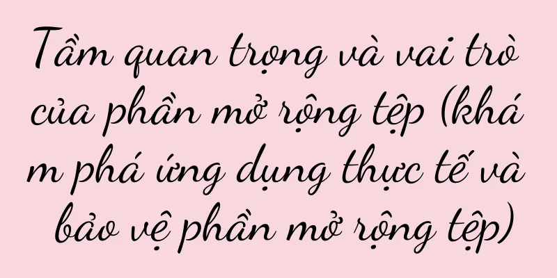 Tầm quan trọng và vai trò của phần mở rộng tệp (khám phá ứng dụng thực tế và bảo vệ phần mở rộng tệp)