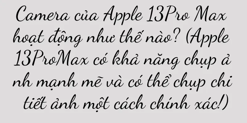 Camera của Apple 13Pro Max hoạt động như thế nào? (Apple 13ProMax có khả năng chụp ảnh mạnh mẽ và có thể chụp chi tiết ảnh một cách chính xác!)