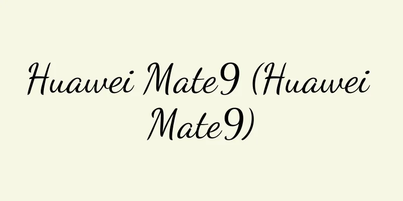Huawei Mate9 (Huawei Mate9)
